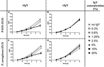 Chicken IgY reduces the risk of Pseudomonas aeruginosa urinary tract infections in a murine model